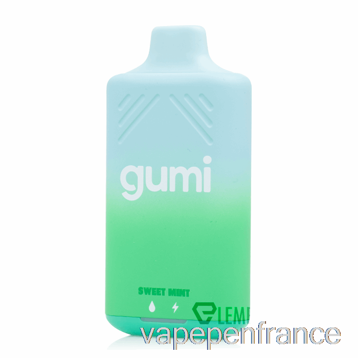 Stylo Vape Jetable à La Menthe Douce Gumi Bar 8000